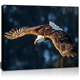 QTESPEII Eagle Canvas Wall Art Brown and White Flying Bald Eagle Picture Cool Animal Painting Artwork for Bedroom Bathroom Living Room Decoration Framed Home Office Walls Decor 12'x16' 1 Piece