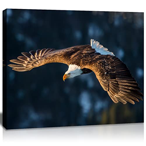 Qtespeii Eagle Canvas Wall Art Brown And White Flying Bald Eagle Picture Cool Animal Painting Artwork For Bedroom Bathroom Living Room Decoration Framed Home Office Walls Decor 12 Inchx16 Inch 1 Piece cover