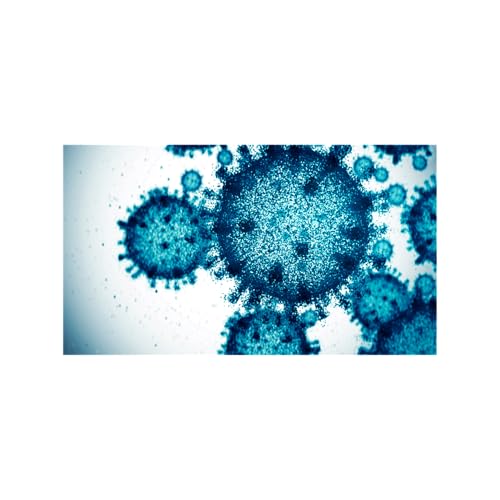 A Holistic Approach to dealing with Seasonal Illness