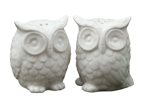 Creative Co-Op Ceramic Owl Salt and Pepper Shaker, Set of 2