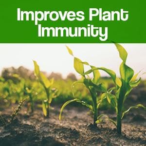 Organic Cold Pressed water soluble Pure Neem Oil - 10 L(Bottle) for Spray on Plants and Garden - with Measuring Cup