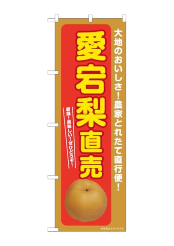 ̂ڂ艮H[(Noboriyakobo) SNB-7236  W600×H1800mm 1  OO |W  ɐ 󒍐Yi