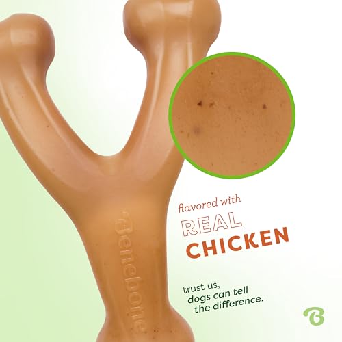 image for Benebone Wishbone Durable Dog Chew Toy for Aggressive Chewers, Made in