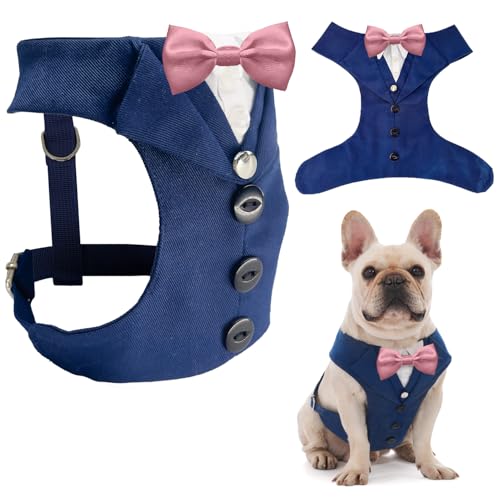 AVERYDAY �� �^�L�V�[�h �������� ���̃X�[�c �l�N�^�C �R�X�`���[�� �a���� �n���E�B�� �R�X�v�� �N���X�}�X �p�[�e�B�[ �y�b�g �t�H�[�}���E�F�A ���l�N�^�C�t�� �^�L�V�[�h ���^�� ��^�� �u���h�b�O ���u���h�[���E�n�X�L�[