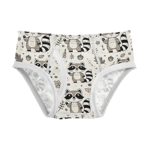 Cute Raccoon Animal Boys' Underwear 100% Cotton Boys' Briefs Soft Toddler Underwear