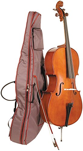 Stentor 1108 Cello, 1/4 Size