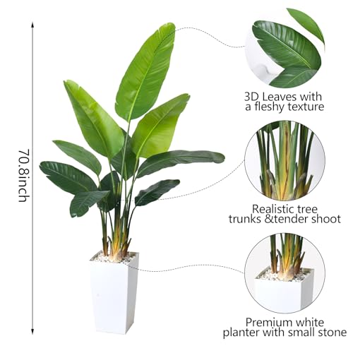 Bird of Paradise Artificial Plant 6FT, Faux Tropical Palm Tree with White Tall Planter, Large Fake Plants in Pot - Artificial Tree for Home Office Living Room Decor Indoor