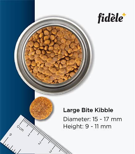 Image of Fidele+ Adult Large Breed Dog Food | 200g | Glucosamine for Joint Support | Omega 3 & 6 | High Protein | Muscle Strength & Coat Health