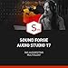 Produktbild SOUND FORGE Audio Studio 17  Das Multitalent für Recording, Audio Editing, Restauration & Mastering | Audio Bearbeitung Software | Musikproduktion | für Windows 10/11 PC | 1 PC Lizenz