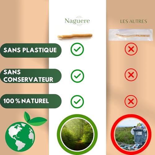 Naguère Siwak Naturprodukt mit Etui, Set mit 5 Miswak Stäbchen für die Reinigung der Zähne, ohne Konservierungsstoffe