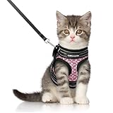 arnes gato el corte ingles 【Material Súper Cómodo y Transpirable】: El arnés gatos ligero está hecho de material de malla de aire transpirable suave y de alta calidad con un bordes suaves, que puede prevenir lesiones de manera efectiva y proporcionar comodidad y protección adicionales. Incluso en el caluroso verano, los gatos no se sentirán bochornosos y las telas de malla de alta calidad se pueden lavar a máquina y son más fáciles de limpiar.