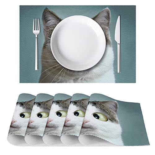 Set de table chat résistant chaleur pour protéger la table des taches et brûlures - 3