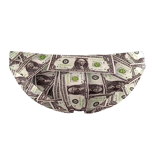 Photo de Banknote Maillot de bain pour homme Motif dollars américains, 3XL-34.6W x 1.3L, One Size-3X-Large
