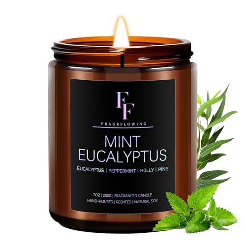 Mint Eucalyptus Candle, Scented Candle for Home Soy Wax Candle, Aromatherapy Candle Gift for Women...
