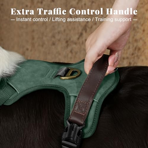 Image of Didog No Pull Dog Harness for Medium Dogs, Classic PU Leather, Green, M