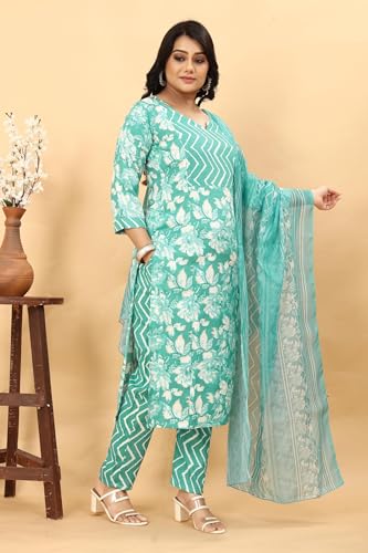 Image of SKY FAB Womens Nuring Tunic