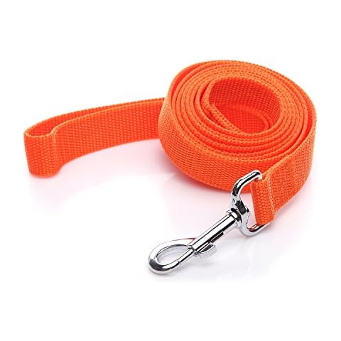 Nylon Dog Leash 4 Ft 5 Feet 6 Foot Long, Walking Training Dog Leashes for Medium Large Dogs, 1 Inch Wide(5ft, Orange) Cover
