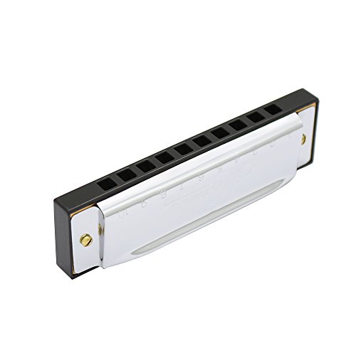 JIKALS Key of c Diatonic Harmonica en Acier Inoxydable 10 Trou de la corba jiangzhongpeng - Les Beatles, Paul McCartney, John Lennon, RIngo Starr, George Harrison JIKALS Key of c Diatonic Harmonica en Acier Inoxydable 10 Trou de la corba jiangzhongpeng – Image 6