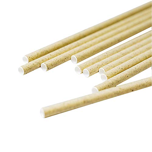 GREENBOX Lot de 250 pailles en papier naturel 20 cm Ø 0,6 cm I Biodégradable I Pailles respectueuses de l'environnement I Pailles en papier pour boissons froides I Pailles à herbe Cover