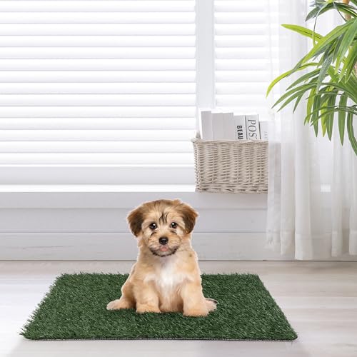 aphrophina Large Pet Urine Mat - Two Pack with Realistic Artificial Grass, Easy to Use for Indoor and Outdoor Relief, Green