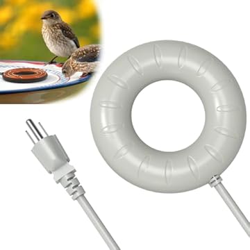 best heaters for winter