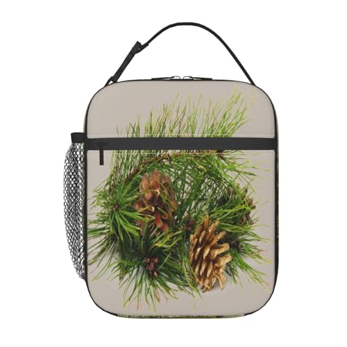 |[^ufM`obOBhƘRh~AX^CbVŏvBdAwZAAEghAɍœKłBjɂɂKĂ܂B(NX}XuEAM[S[hAڂA}ɖ؁ARA~̎AzCg)