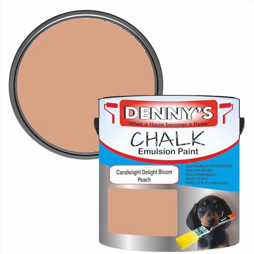 Premium Interior Wall & Furniture Chalk Paint – Candlelight Delight Bloom Peach – Rich Matt Finish, Durable & Washable, Low Odour, Ideal for Living Rooms, Bedrooms & Hallways (250ML Tin)
