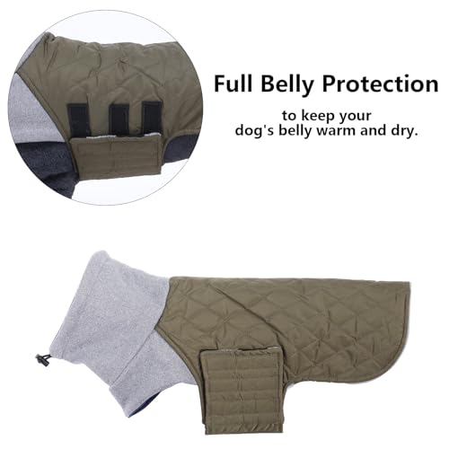 Geyecete Hundemantel Dackel, Dackel Wintermantel, Warmer Quilten Dackelmantel mit Geschirr Loch,Winddicht Rollkragen Hundejacken, Miniatur Dackel Weste für kleine Hunde-grün-S