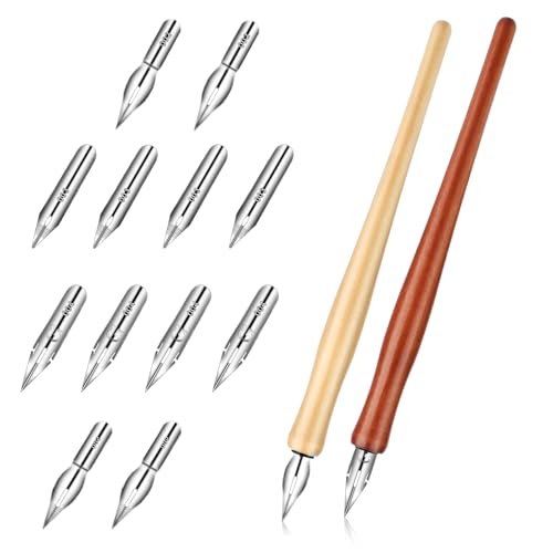 EupHHonycs 14PCS Oblique Calligraphy Dip Pen Set, Comic Pen Nib Set, Calligraphy Nibs Dip Pen, 2-in-1 Drawing Pen Holder with 12 Replacement Nibs for Writing, Painting, Signing