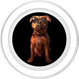 Zoom IMG-1 pitbull con occhiali da sole Zoom IMG-1 pitbull con occhiali da sole