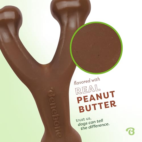 image for Benebone Peanut Butter Flavored Wishbone Chew Toy, Brown, Medium