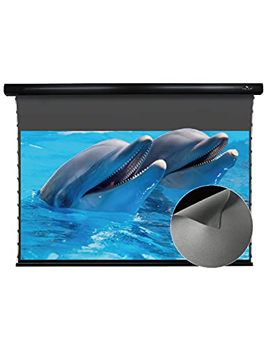 Image of Vivid Storm Since 2004-Motor Tension Screen, Obsidian Long Focus ALR Motor Tension Drop Down Screen Screen,Compatible with Lumen up to 2500ANSI Short Throw Projector,VBMSLALR100H