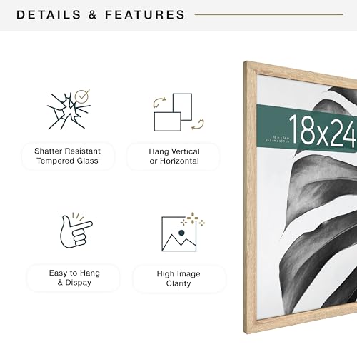 MCS Studio Gallery 18x24 Poster Frame Natural Woodgrain, Vertical & Horizontal Wall Hanging Large Picture Frame for Photos, Posters & Art Prints (2-Pack)
