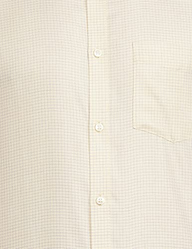 Image of Park Avenue Men's Pure Cotton Checks Pattern Regular Fit Semi Cutaway Collar Half Sleeve Formal Shirt