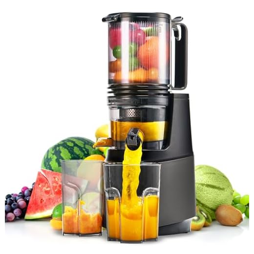 Slow Masticating Juicer with Large Chute