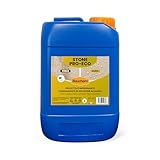 Bauchem Stone Pro Eco Impregnante Anti-salnitro in Soluzione Acquosa Specifico per Tufo, Carparo, Pietra Leccese e Calcarea Porosa 5 Lt