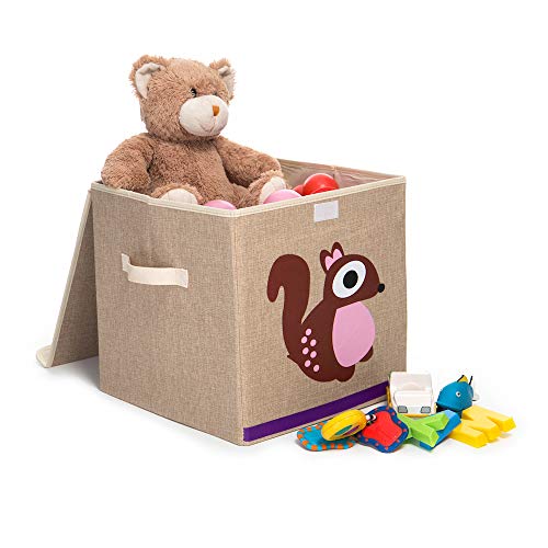 Caixa Organizadora Infantil Com Tampa estampa:esquilo