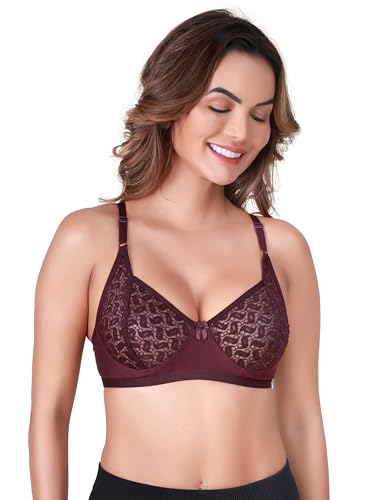 Image of SKDREAMS Naina Net Seamed Non Padded Full Coverage Non-Wired Women Full Coverage Bra