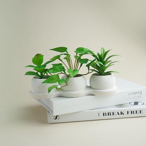 Airbirhom Artificial Succulents Plants Set,Faux Succulents in Pots,Assorted Small Succulent Artificial Indoor Decor for Desk,Shelf,Home,Office,Bathroom,Living Room - Cosy Home Interiors Airbirhom Artificial Succulents Plants Set,Faux Succulents in Pots,Assorted Small Succulent Artificial Indoor Decor for Desk,Shelf,Home,Office,Bathroom,Living Room - Image 5