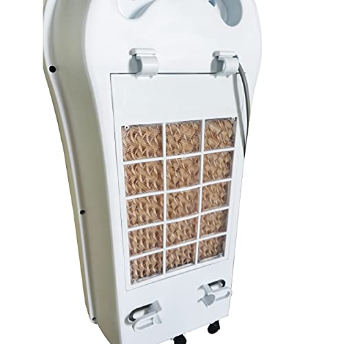 Argo Polifemo Talao D