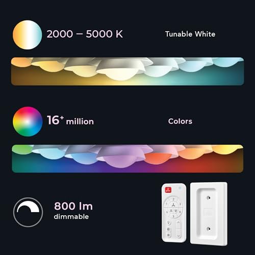 Smart Ceiling Fan with Voice Control
