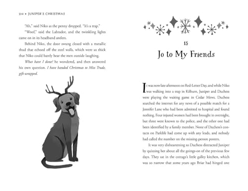 Juniper's Christmas (The Juniper Lane Adventures) - Image 6