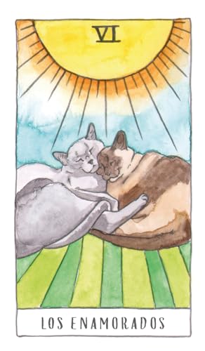 Tarot de Gatos Estuche con Libro y Cartas