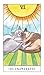 Imagen de EL TAROT DE LOS GATOS: Estuche libro + cartas