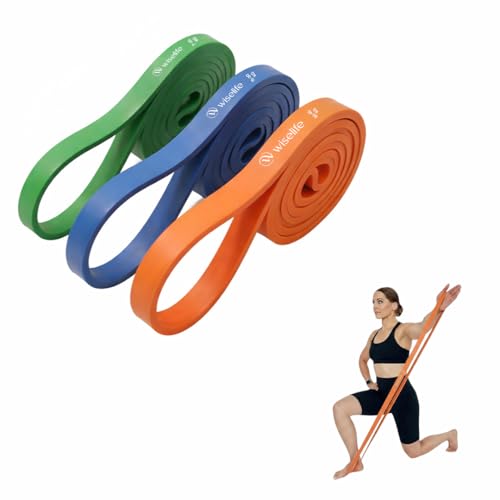 Image of Wiselife Elasticized,Fabric Resistance Power Band, Pull Up Assistance Bands, Workout Bands, Exercise Bands, for Legs, Working Out,Muscle Training,Pull Up Assist Upto 7Kg-60 Kg (Set of 3)