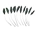 Produktbild 10 Federn, Fascinator coq Schwarz