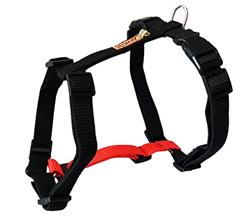 Image of Nylon H Dog Harness (L: 29-47 inch Girth, Black)