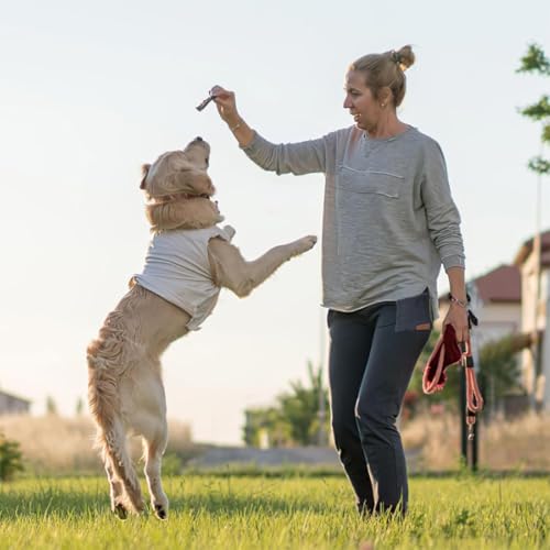 Leckerlibeutel für Hunde, Freihändige Hundeleckerlitasche mit Karabiner, Kleine Futterbeutel für das Hundetraining, Hundeleckerlitasche Automatischem Verschluss Welpen Leckerlitasche (Schwarz)