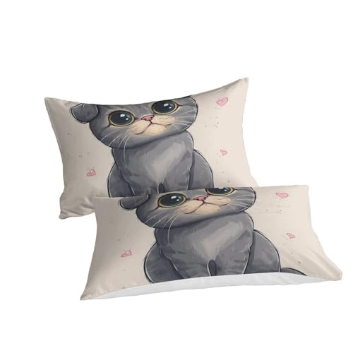 Housse de couette chat American Shorthair 3D le cadeau idéal pour lit simple d'enfant et ado