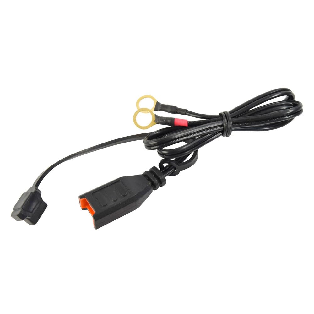 Best Caricabatteria da moto, mantenimento di carica 6 V/12 V